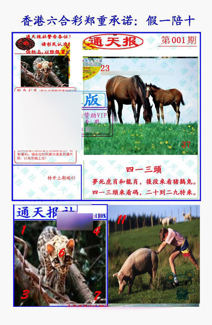 001期假一陪十通天报[图]