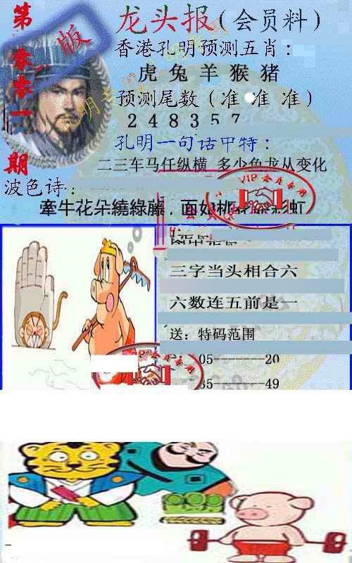 001期龙头报[图]