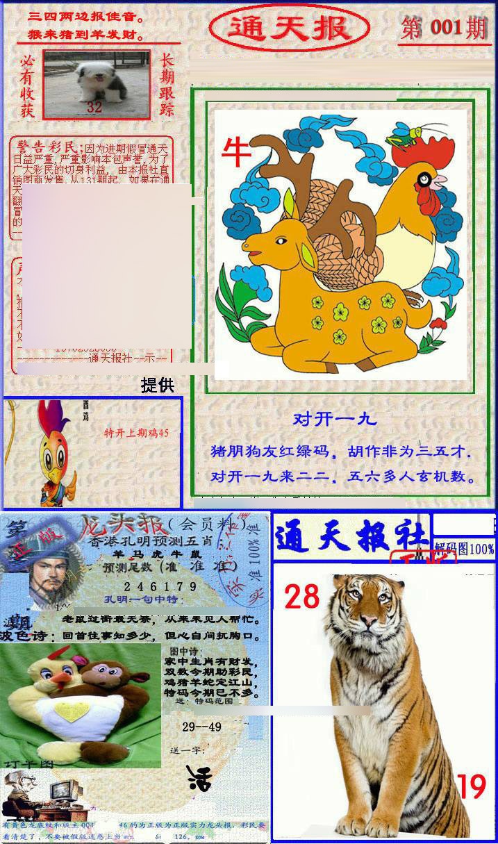 001期实力通天报[图]