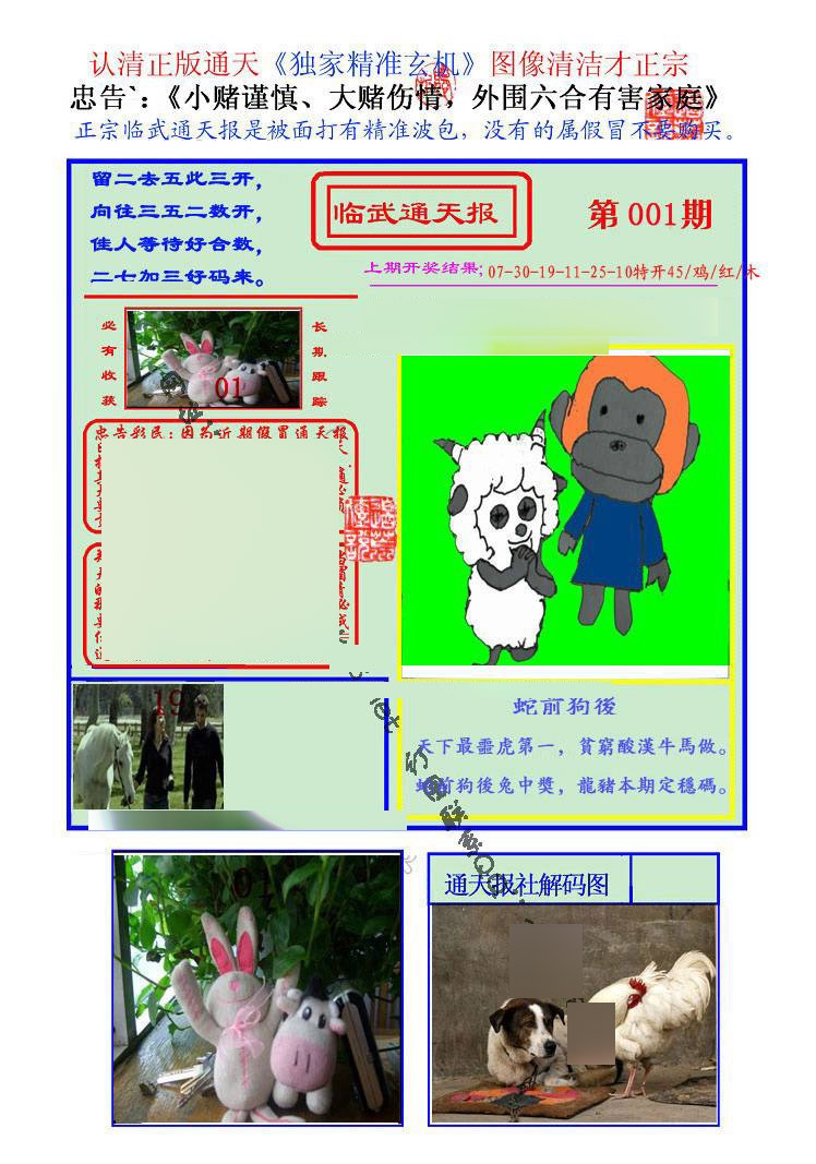 001期临武通天报[图]