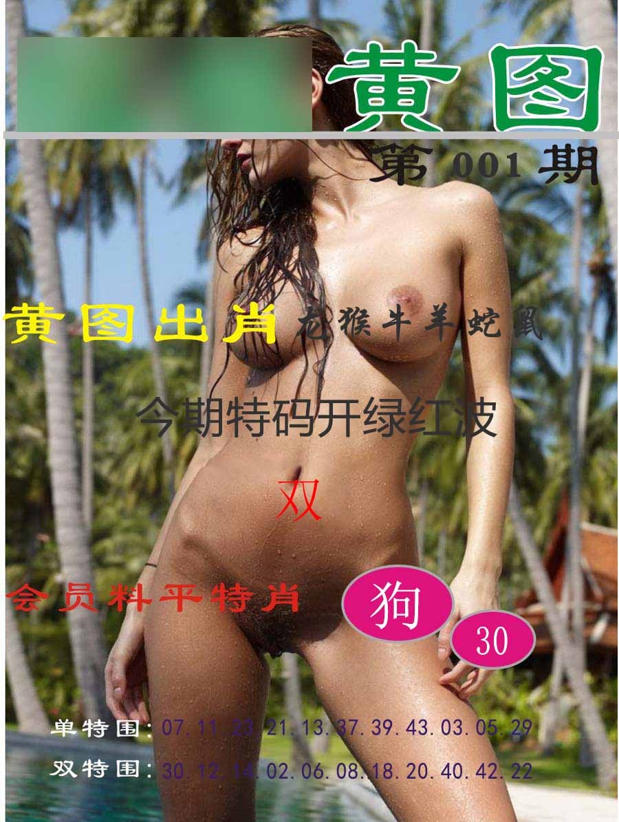001期黄图[图]