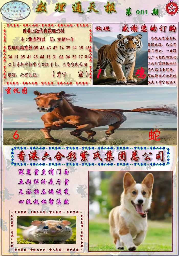 001期数通报[图]