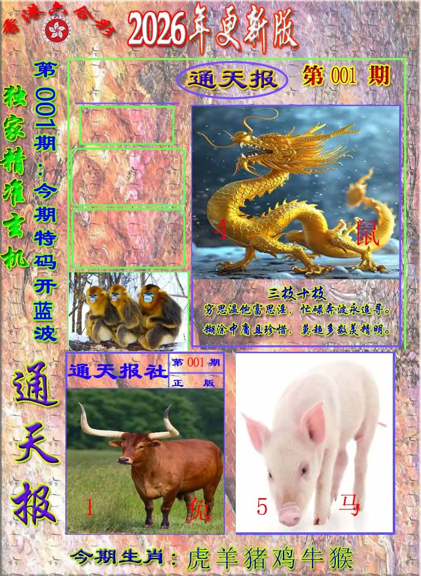 001期新通报[图]