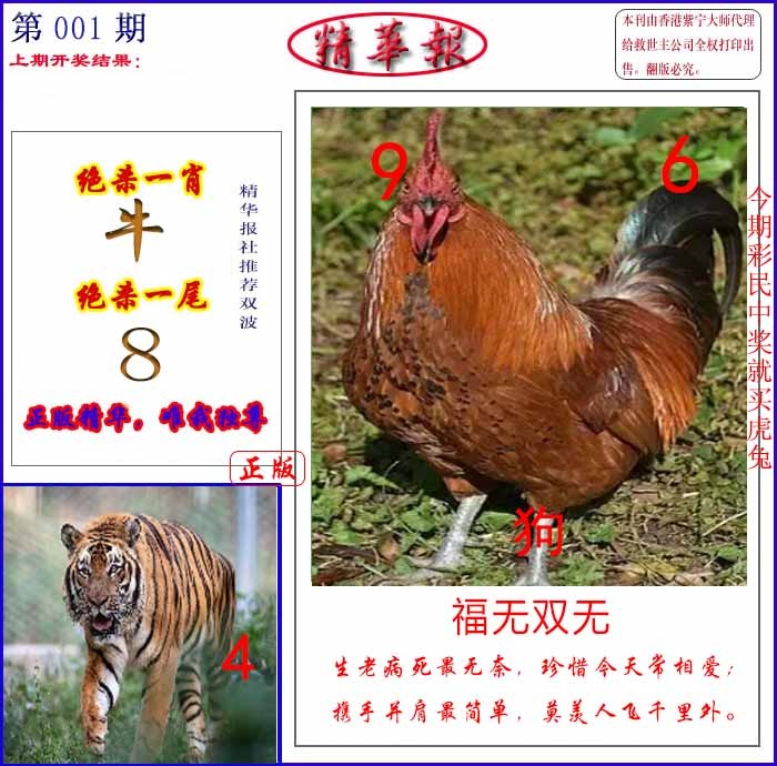 001期新精华报报[图]
