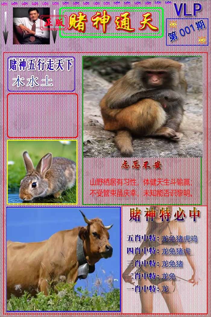 001期赌神通天报[图]