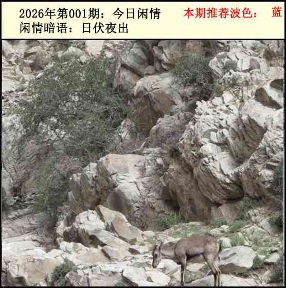 001期今日闲情2[图]