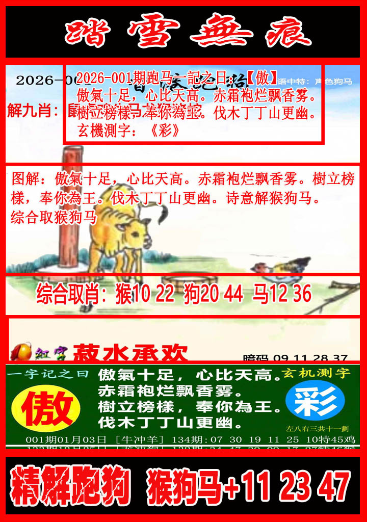 001期踏雪无痕解跑狗[图]