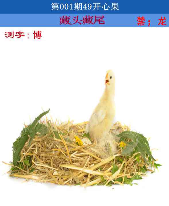 001期四九开心果[图]