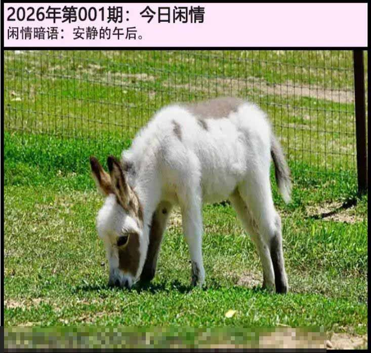 001期另版今日闲情[图]